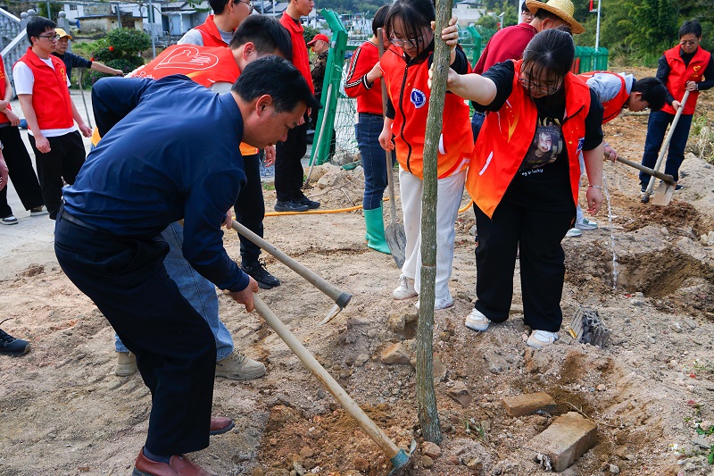 实践团在陶溪村开展植树活动.jpg