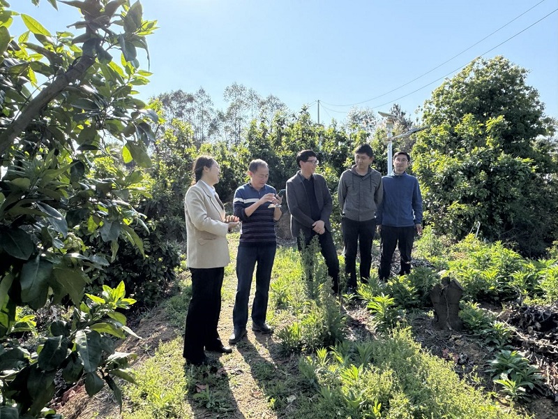 1.调研组实地考察了解智慧农业项目推进和运用情况.jpg
