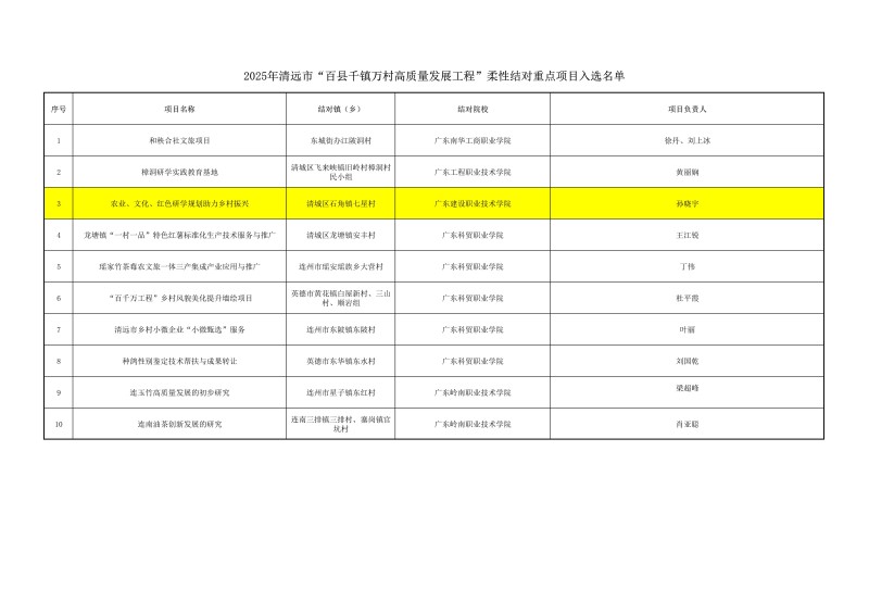 2025年清远市“百县千镇万村高质量发展工程”柔性结对重点项目入选名单_01.jpg